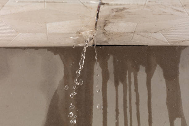 Professional Sewage Cleanup technician working in Maiden Rock, WI